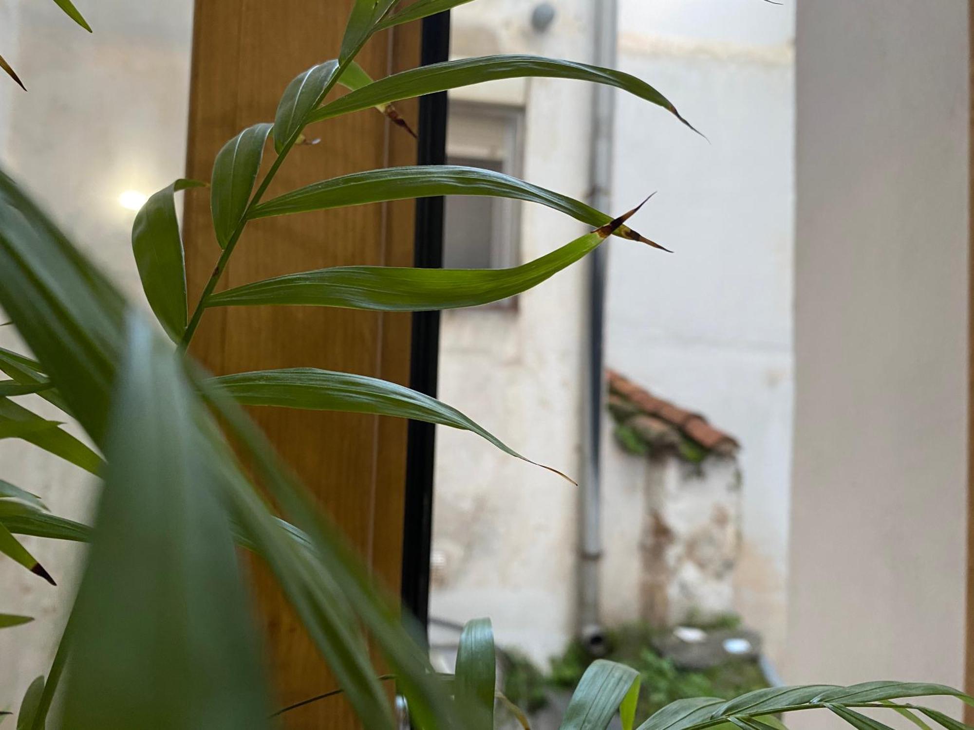Apartamento La Trastienda De Matilde *