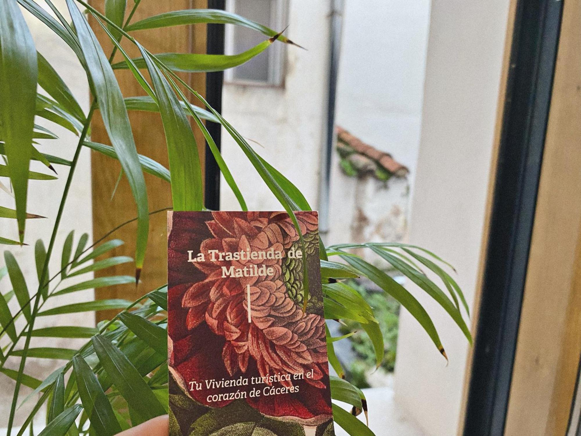 La Trastienda De Matilde * Cáceres